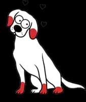 Perro Mediano
